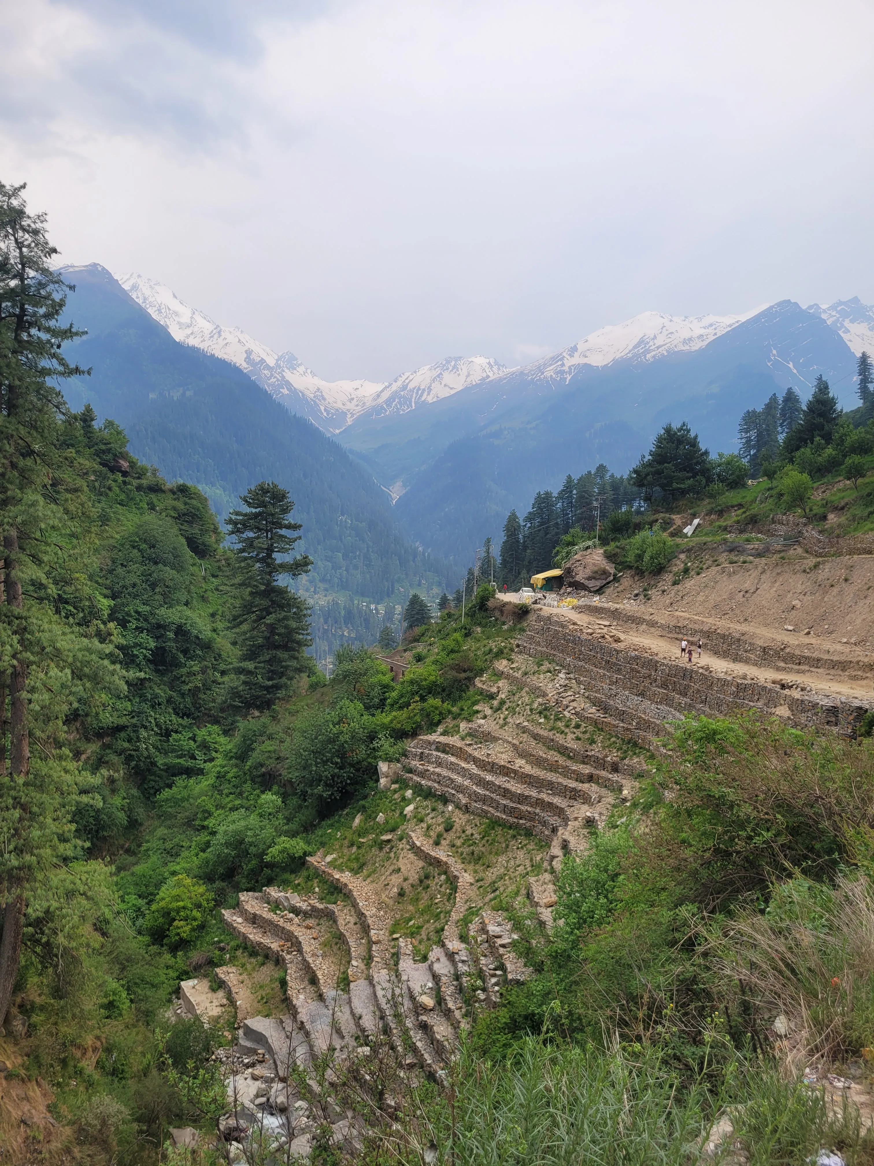 Terraced fields against distant mountains